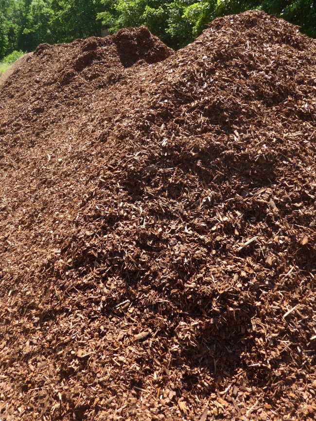 Rindenmulch A- Ware / Mischrinde